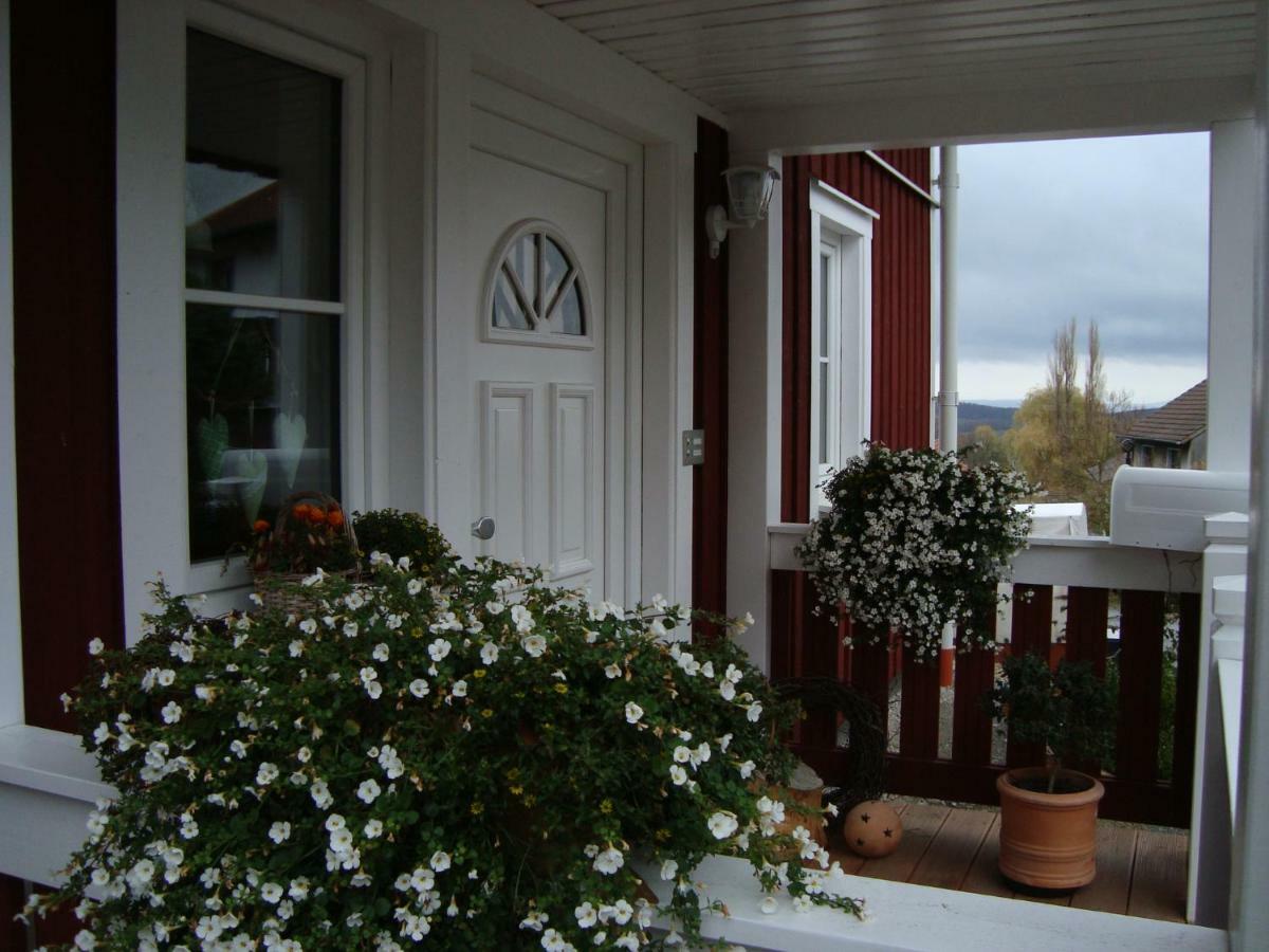Haus Nordlicht Apartment Horn-Bad Meinberg Exterior foto
